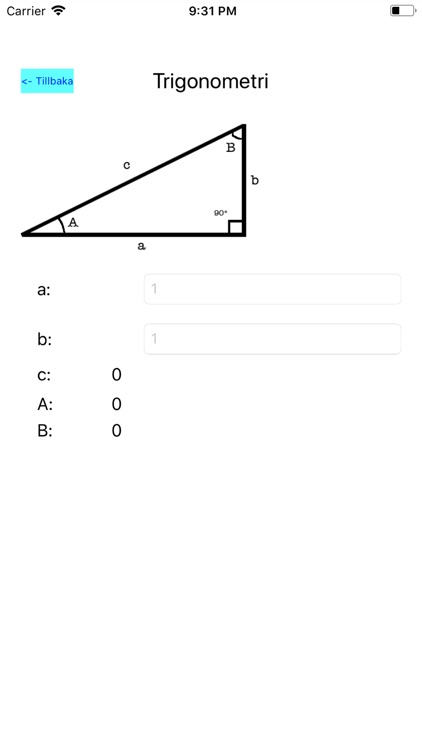 Geometrisk Kalkylator screenshot-4
