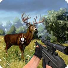Activities of Wild Animal Sniper Shoot