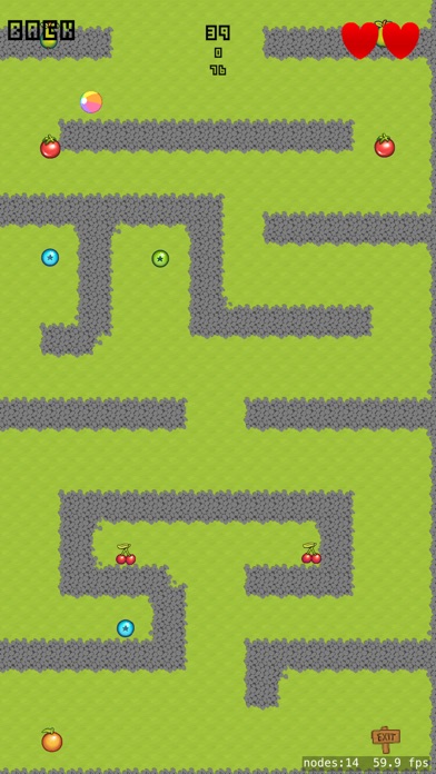 Race in Maze screenshot 3