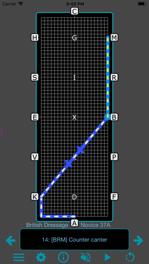 TestPro British Dressage(圖5)-速報App