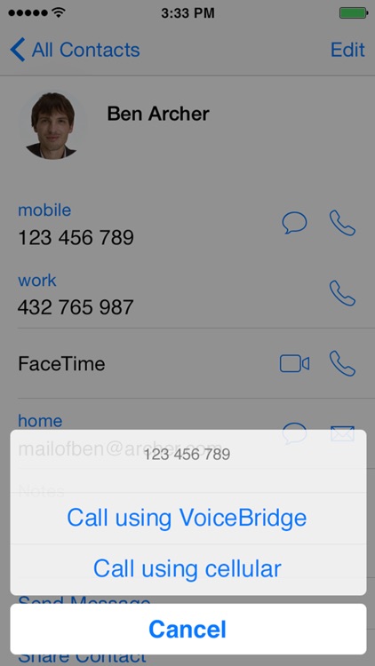 Voice Bridge