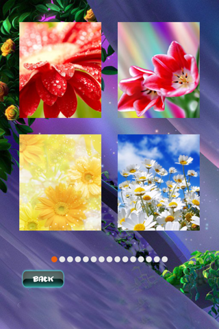 Spring Jigsaw Puzzles screenshot 2