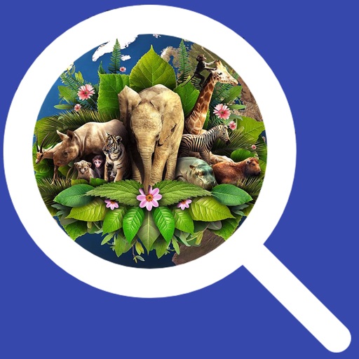 Animal Images Finder iOS App