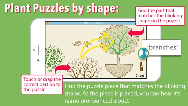 Learn Botany - Parts of Plants(圖3)-速報App