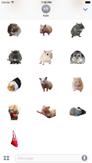 Hamster Photo Sticker screenshot 3