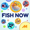 Fish Now.io