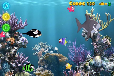 Go Fishing World screenshot 4