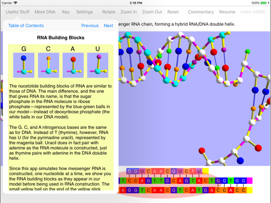 OnScreen Gene Transcriptionのおすすめ画像3