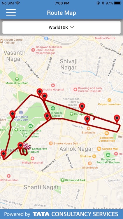 TCS World 10K 2018 screenshot-3