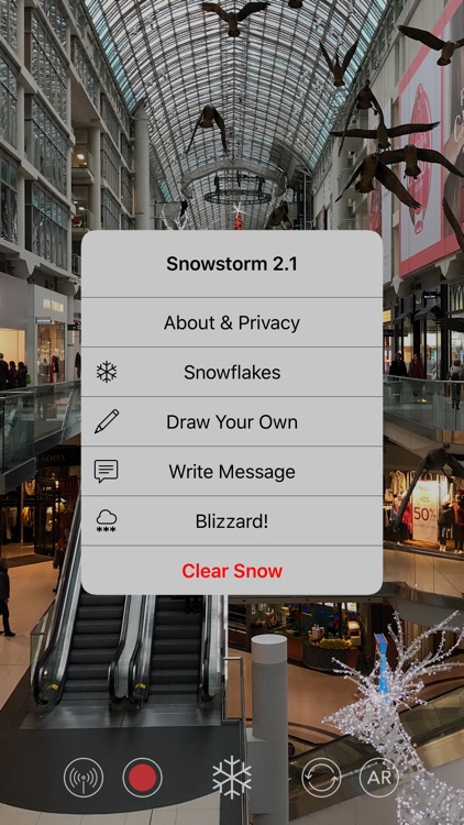 Snowstorm AR screenshot-3