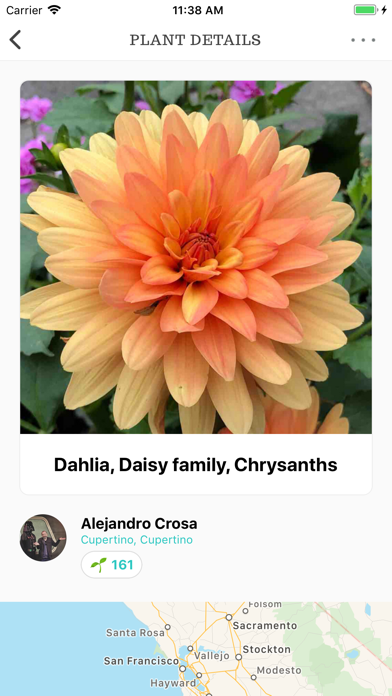 Botanicapp screenshot 4