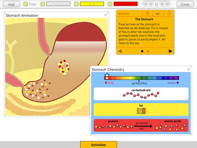 Digestion(圖2)-速報App