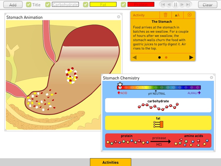 Digestion