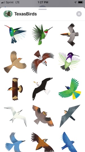 Texas Birds Sticker Pack(圖2)-速報App