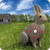 Jungle Rabbit Hunting: 3d
