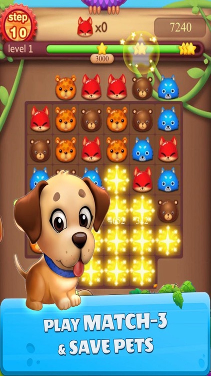 Match PET Mania