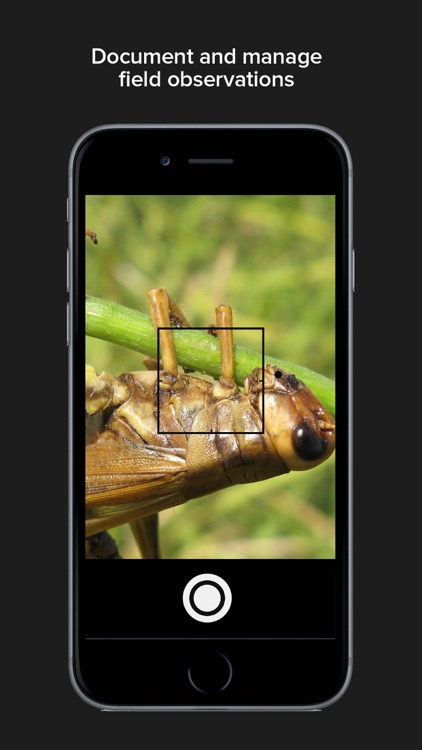 AgDNA Prime screenshot-3