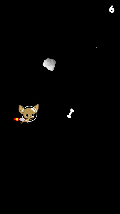 Chico Chihuahua in Space