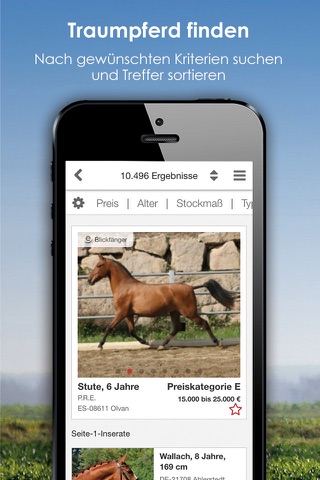 ehorses screenshot 3