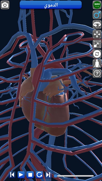 Educational Anatomy 3D screenshot 2