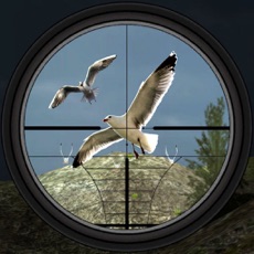 Activities of Birds Hunting - Clay Hunt Pro