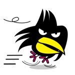 Yellow Beak Birds