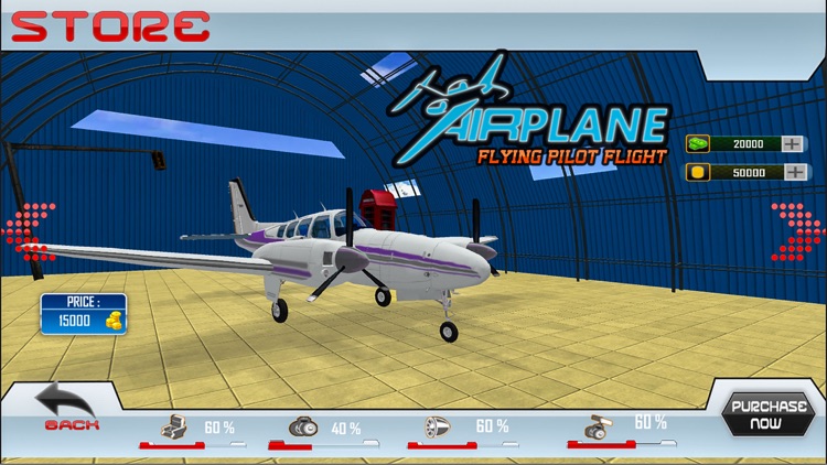 Airplane Game Adventure Flight