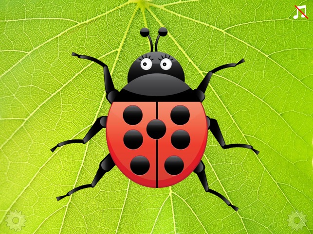 Ladybug Count(圖1)-速報App