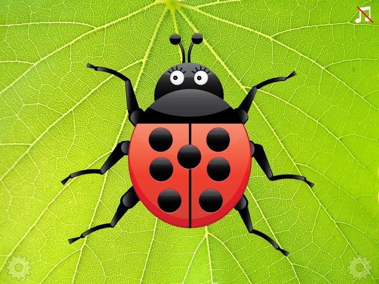 Ladybug Count