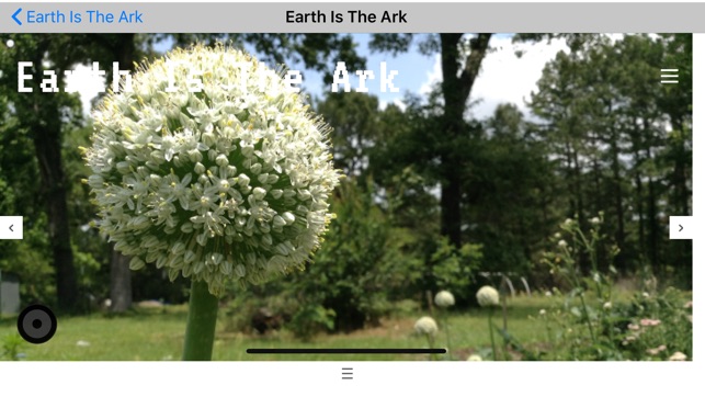 Earth Is The Ark(圖2)-速報App