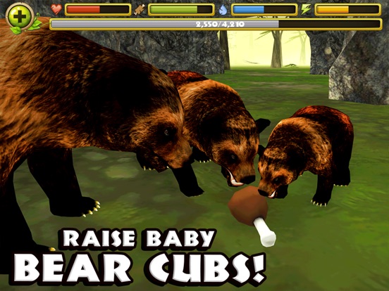 Скачать Wildlife Simulator: Bear