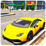 Extreme Car Real Driving