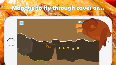 Thanksgiving Flying Turkey screenshot 2