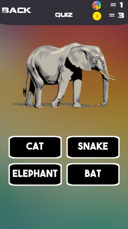 THE BEST QUIZ-fun for all ages