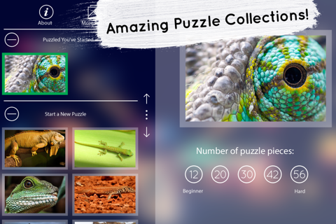 Venn Lizards: Jigsaw Puzzle screenshot 4