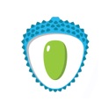 ליצ י lychee icon