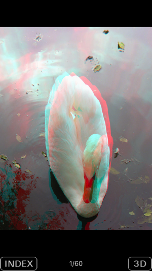 3D Popup Swan(圖2)-速報App