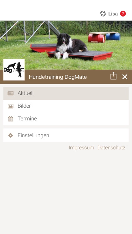 Hundetraining DogMate