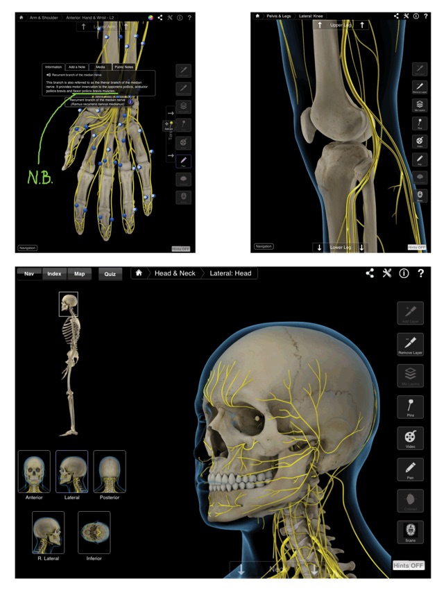 Brain & Nervous System Pro III(圖4)-速報App