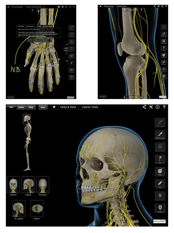 Brain & Nervous System Pro III screenshot-3