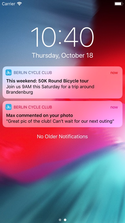 BerlinCycleClub