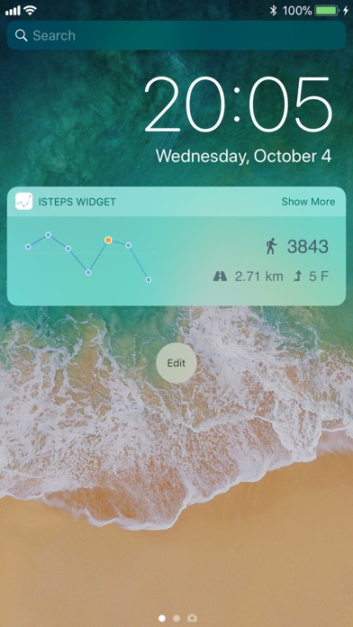 iSteps Widget screenshot1