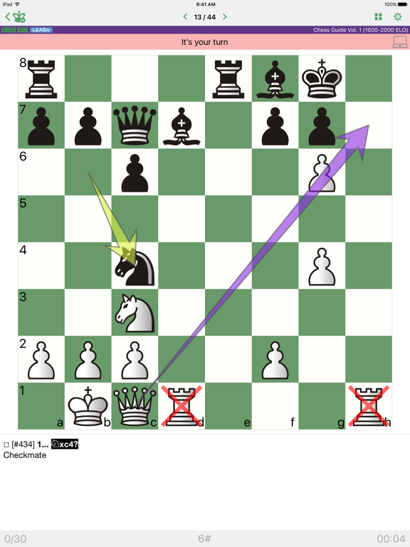 Chess Strategy and Tactics