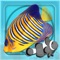 Dive into a beautiful 3D aquarium on your device