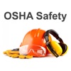 OSHA Safety Regs Audits Issues