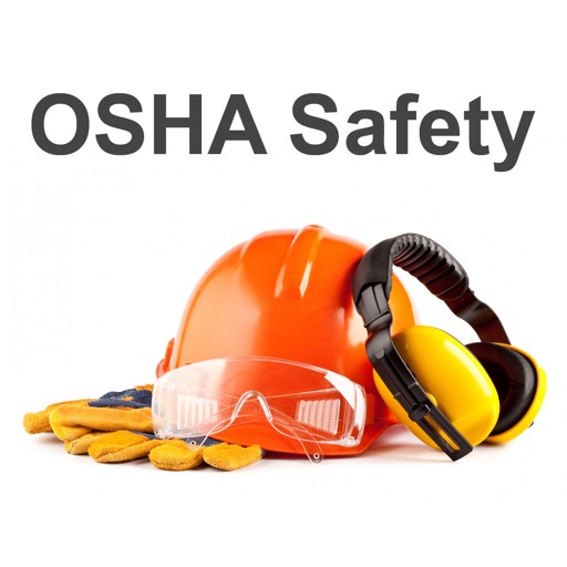 OSHA Safety Regs Audits Issues