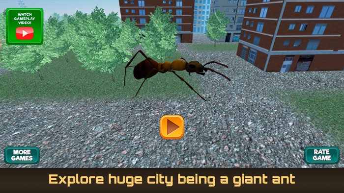 巨蚂蚁进取城市生存