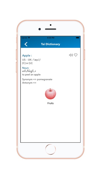 Tai Dictionary screenshot 3