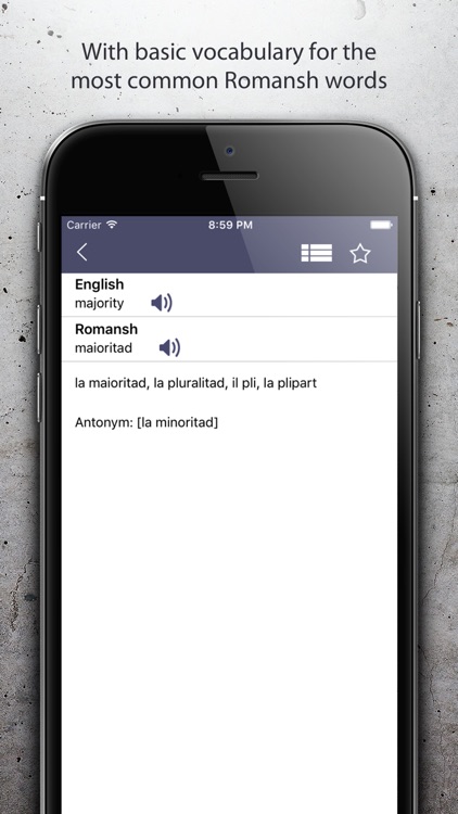 Dictionary Romansh English