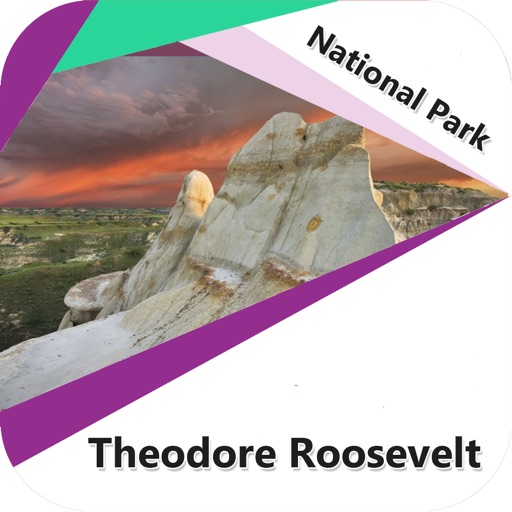 Theodore Roosevelt - N.Park icon